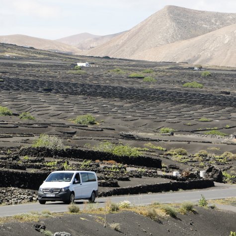 4x4 Tour: Sabores de Lanzarote