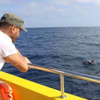 Excursión Isla de Lobos 