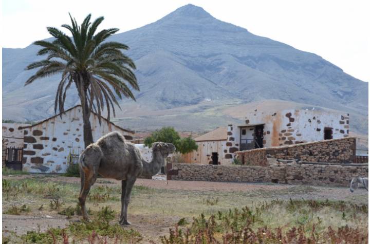 Tour a Fuerteventura