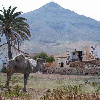 Tour a Fuerteventura