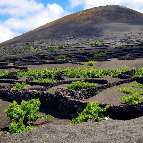 4x4 Tour: Sabores de Lanzarote