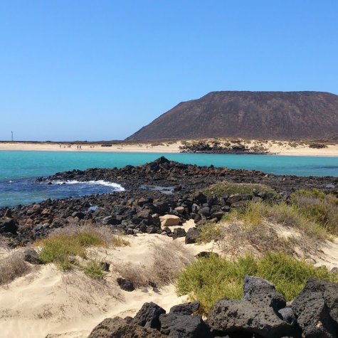 Excursión Isla de Lobos 