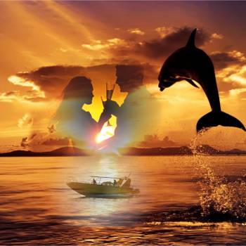 Sunset & Dolphins 